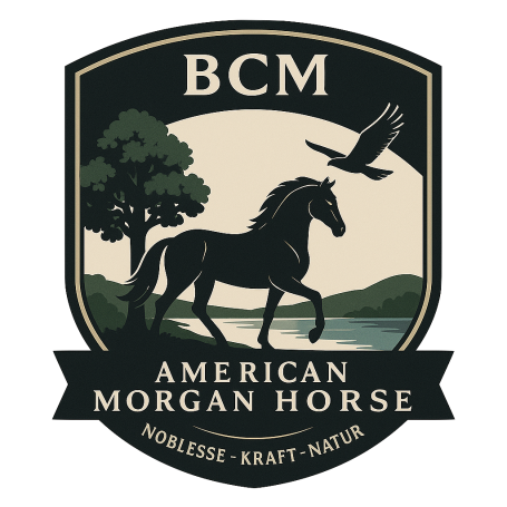 Blackcourt Morganhof